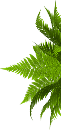 Салон тайского массажа в Мытищах