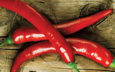 Салон тайского массажа в Мытищах