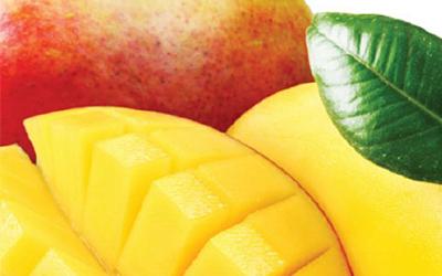 Салон тайского массажа в Мытищах