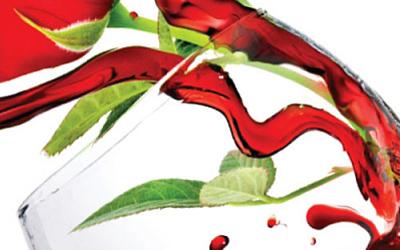 Салон тайского массажа в Мытищах