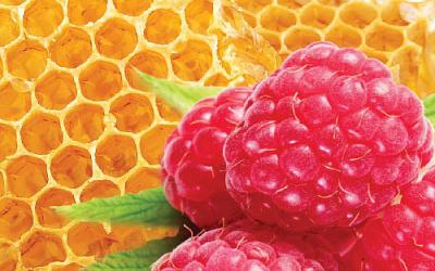 Салон тайского массажа в Мытищах