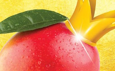 Салон тайского массажа в Мытищах