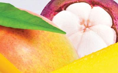 Салон тайского массажа в Мытищах